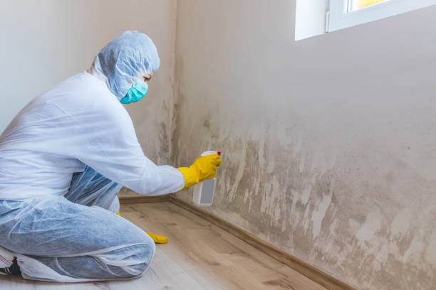 Hvac And Air Duct Mold Remediation inspection of HVAC system in Seaford