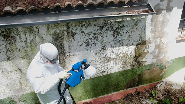 Mold Remediation service in Seaford, Seaford, VA